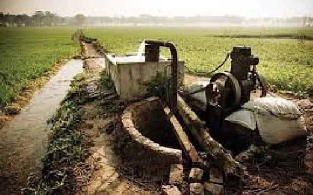 Soil Health Crisis in Punjab: Farmers Worry About Degradation - News Karnataka