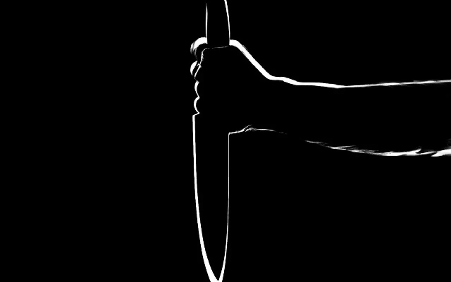 Tragic Stabbing Incident in Delhi Over Reckless Riding - News Karnataka