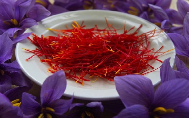 From Tech to Turf: Udupi's Saffron Cultivators Thrive - News Karnataka