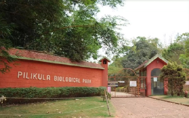 Pilikula Zoo Welcomes Rare Animals from Odisha: Animal Exchange Program Boosts Biodiversity - News Karnataka