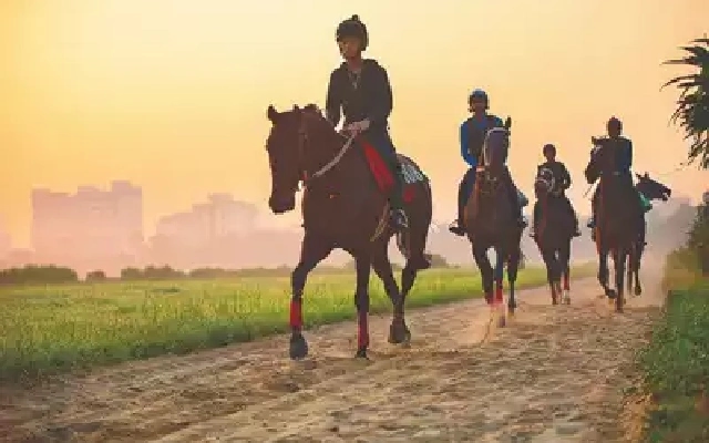 A Day in the Life at the Royal Calcutta Turf Club: Horses, Love, and Grit - News Karnataka