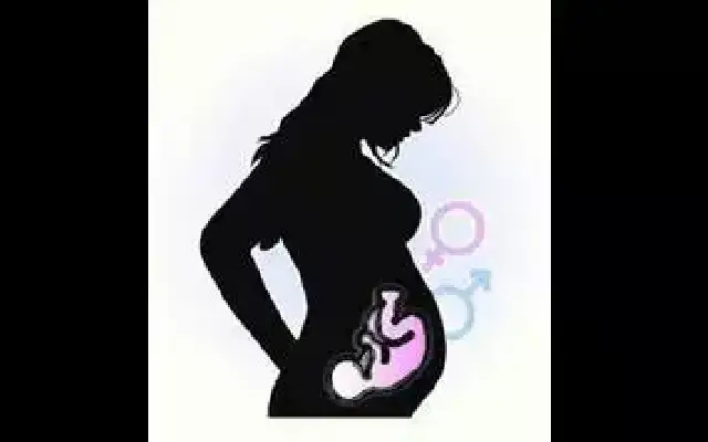 Pregnant Woman Dies in Belagavi Hospital, Family Alleges Negligence - News Karnataka