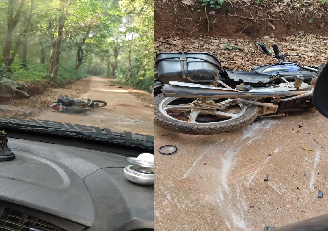 Mangaluru: Wild elephant attacks family in Belthangady, no fatalities reported - News Karnataka