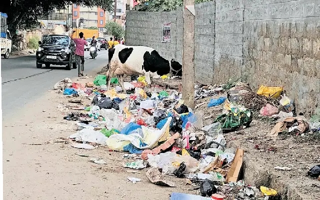Garbage Dumping on Nallurhalli Road Disrupts Whitefield Residents - News Karnataka