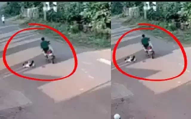 7-year-old critically injured in hit-and-run incident in Manjeshwar - News Karnataka