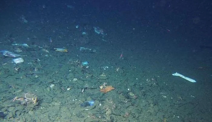 Photos from the Mariana Trench Highlight Human Impact on the Deep Sea - News Karnataka