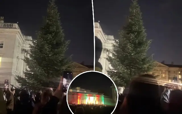 Crowd reacts to hilarious Christmas tree lighting fail at Trinity college - News Karnataka