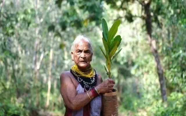 Padma Shri Awardee and Green Warrior Tulsi Gowda Passes Away at 86 - News Karnataka