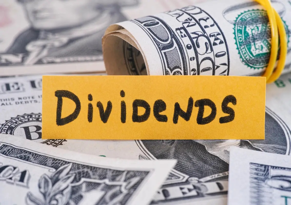 How Is the Dividend Payout Ratio Different for Mature vs. Emerging Companies? - News Karnataka