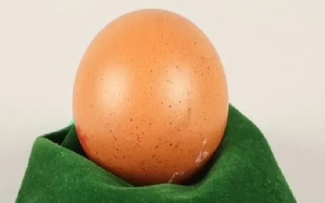 "Rare One-in-a-Billion Spherical Egg Fetches £200 at Charity Auction" - News Karnataka
