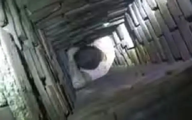 Man gets stuck in chimney while fleeing police in Massachusetts - News Karnataka