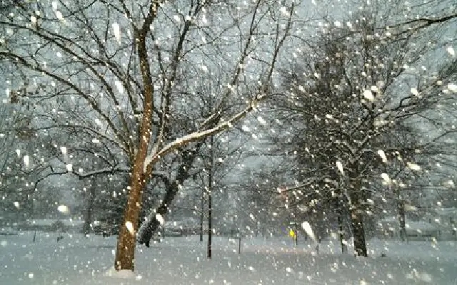 Odisha transformed into a winter wonderland with rare snowfall and frost - News Karnataka