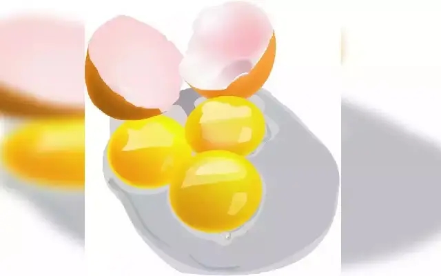 Dharwad Schools Struggle with Egg Prices in Midday Meal Scheme - News Karnataka