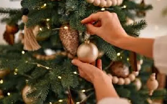Some safety tips for your real Christmas tree - News Karnataka