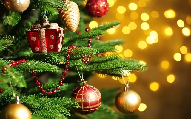 2024 Christmas tree trends to inspire your holiday decor - News Karnataka