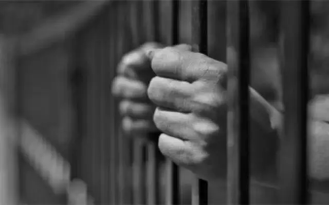 Mangaluru Man Granted Early Release from Saudi Jail Under National Day Amnesty - News Karnataka