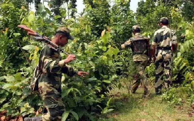 Maoists accused of killing three villagers in Chhattisgarh’s Bijapur - News Karnataka