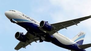 Quick-Thinking Doctor Saves Life Mid-Air on IndiGo Flight - News Karnataka