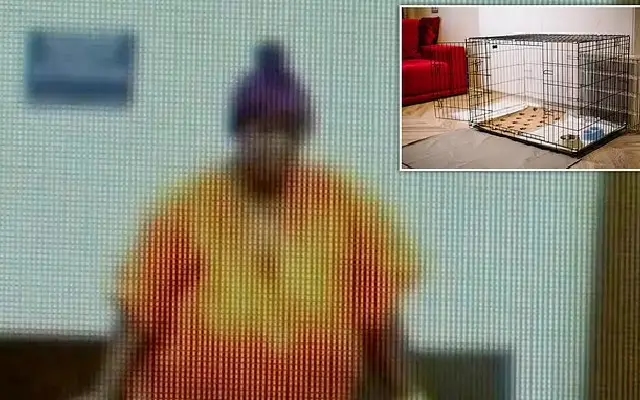 Woman arrested for locking girl in dog cage under Christmas tree - News Karnataka