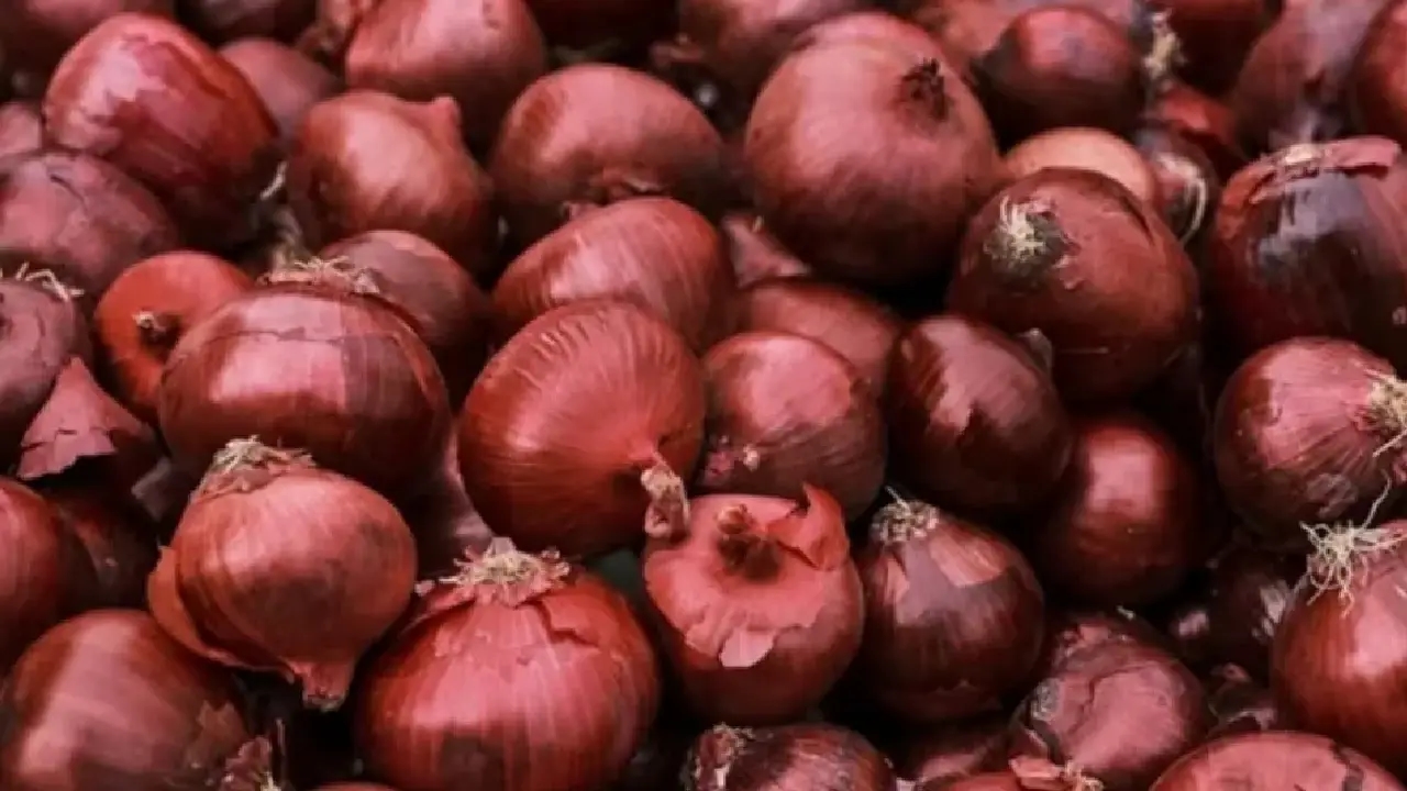 Bengaluru resident’s onion request sparks curiosity and theories online - News Karnataka