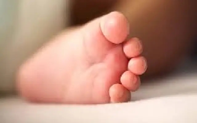 Newborn's remains found mutilated by stray dog in Chitradurga - News Karnataka