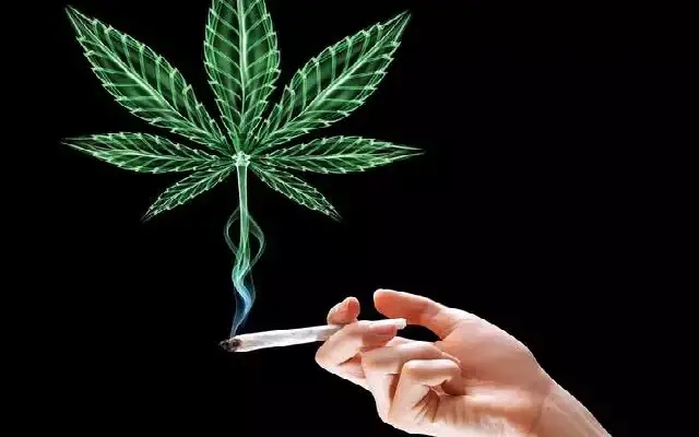 New Year party preparations fuel rise in ganja smuggling via trains in Bengaluru - News Karnataka