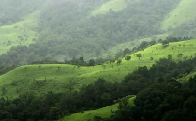 Safety concerns mount as unlicensed homestays prepare for New Year - News Karnataka