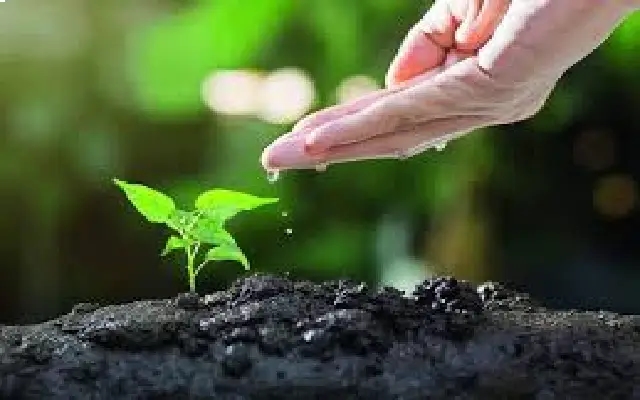 BBMP Leverages AI to Boost Bengaluru’s Green Cover - News Karnataka