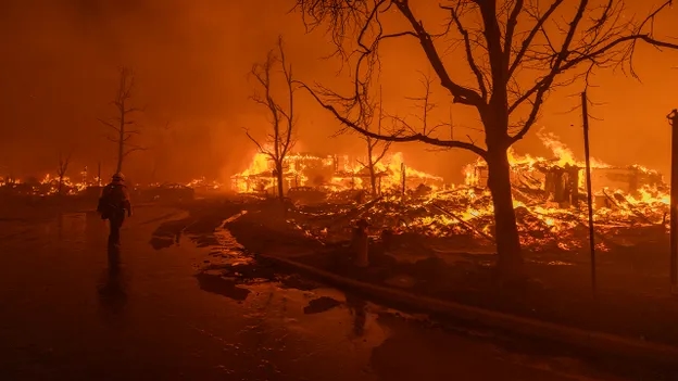 Los Angeles wildfires claim at least 24 lives, officials battle relentless flames - News Karnataka