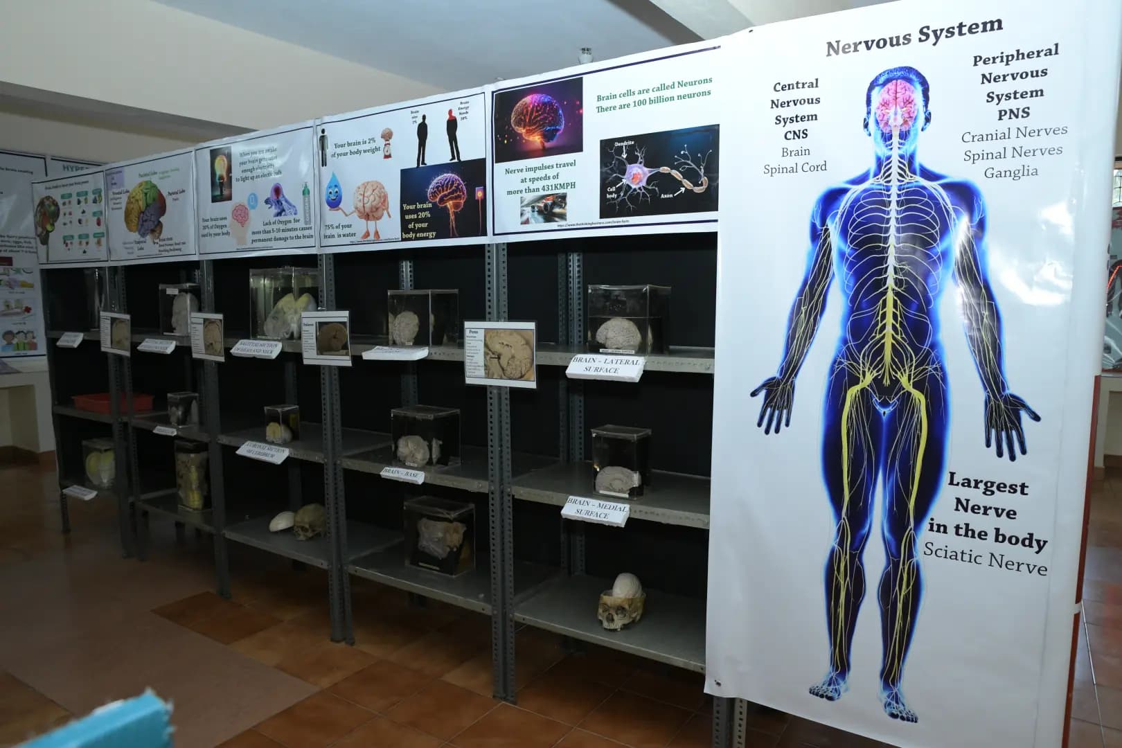 Gallery image 5