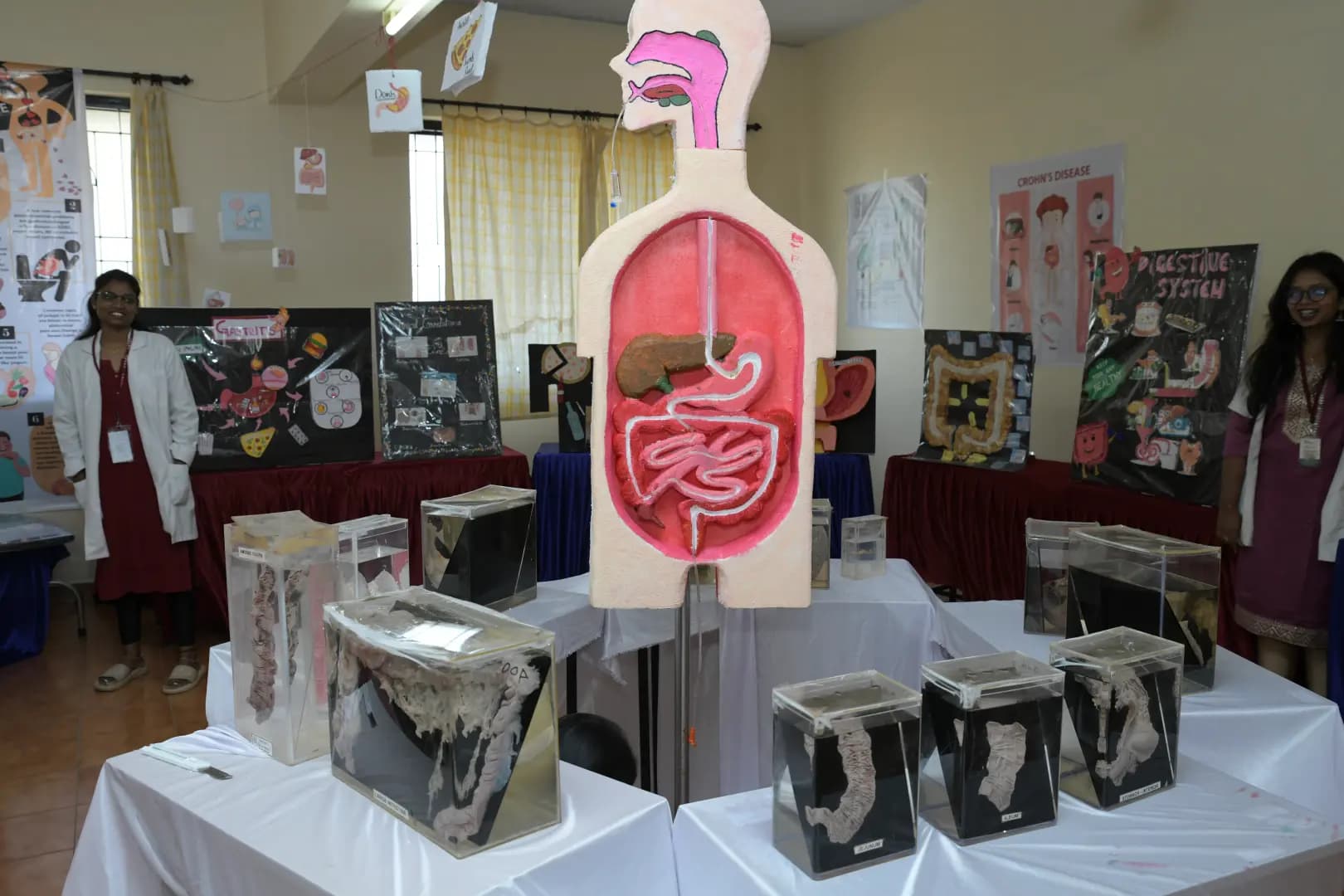 Gallery image 6