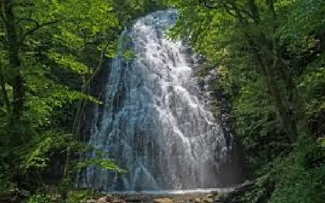 Tragic end to Jog Falls trip: Woman succumbs to injuries - News Karnataka