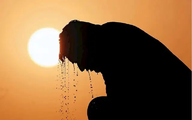 2024 records as warmest year on record in India and globally - News Karnataka