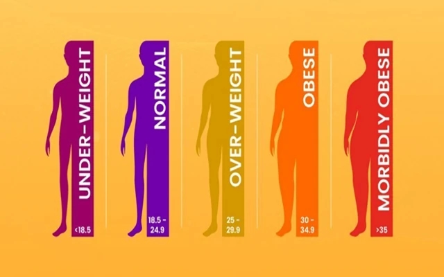 BMI Calculator for Men and Women: Understanding This Key Health Metric - News Karnataka