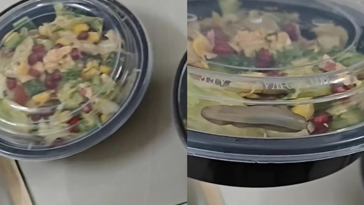 Bengaluru Man Finds Live Worm in Salad Ordered Online, Sparks Outrage - News Karnataka