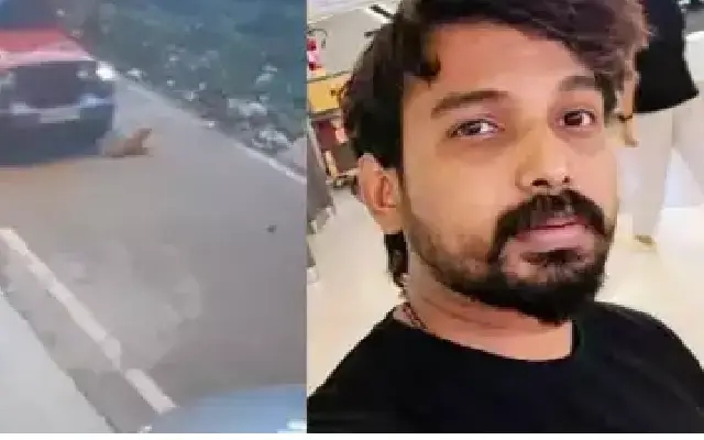 Bengaluru digital content creator arrested for allegedly killing street dog - News Karnataka