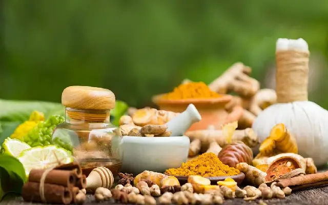 Call for Government Ayurvedic College in Dakshina Kannada Gains Momentum - News Karnataka