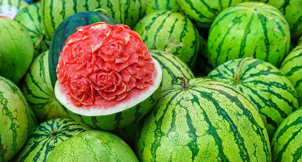 Farmers begin growing watermelon as summer is approaching - News Karnataka