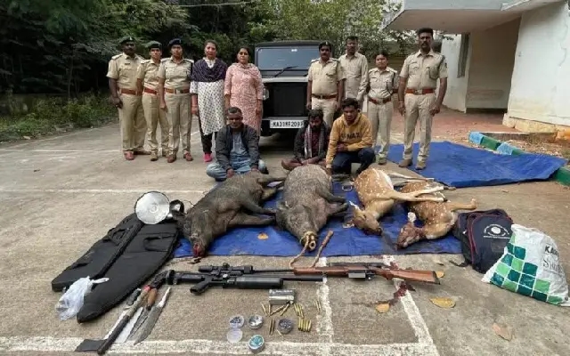 Four Arrested for Illegal Hunting of Wild Boars and Deer in Ramanagara - News Karnataka