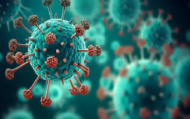 India Reports Human Metapneumovirus (HMPV) Cases in Children; Situation Under Control - News Karnataka