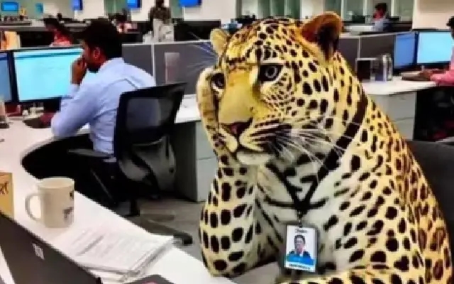 Leopard sighting at Infosys Mysuru sparks hilarious memes and work-from-home chaos - News Karnataka