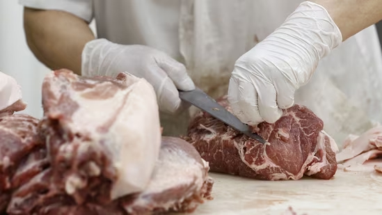Meat sale ban near Yelahanka stirs protests ahead of Aero India 2025 - News Karnataka
