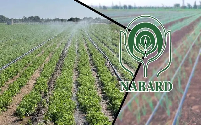 NABARD Sanctions ₹9 Crore Cold Storage Unit for Belagavi Farmers - News Karnataka