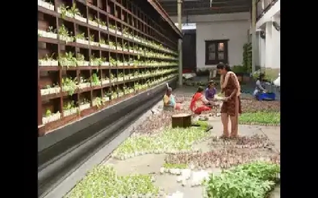 Dongerkery Temple Promotes Organic Farming at Ekadashi Festival - News Karnataka