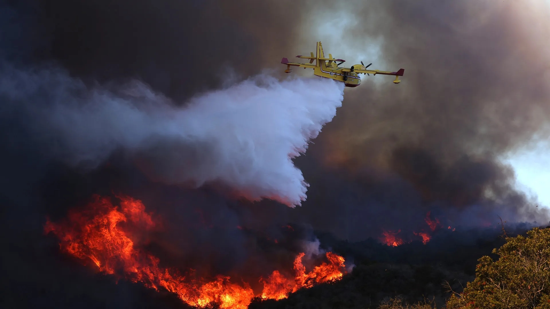 Drone disrupts aerial firefighting efforts, worsens Palisades Fire crisis - News Karnataka