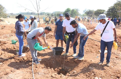 Bengaluru Launches Million-Tree Initiative to Create Urban Forests - News Karnataka