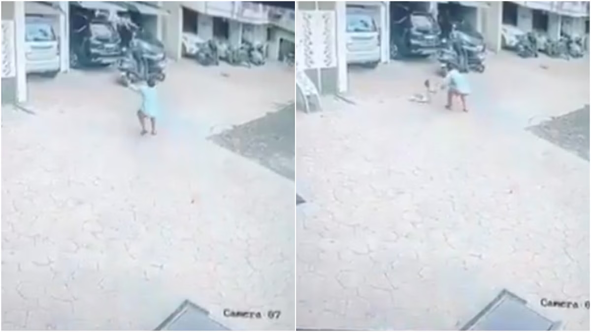 Two-year-old falls from 13th floor, miraculously rescued by passer by - News Karnataka