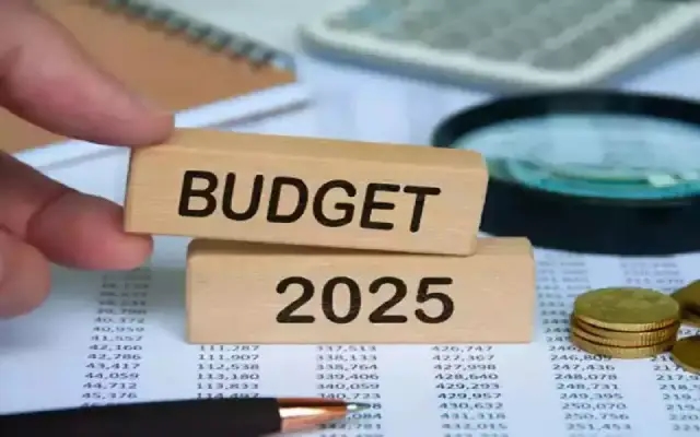 Understanding the 2025 Budget: What It Really Delivers - News Karnataka