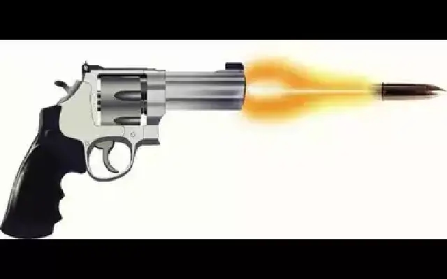 Unlicensed Pistol Misfire Injures Man in Vamanjoor - News Karnataka