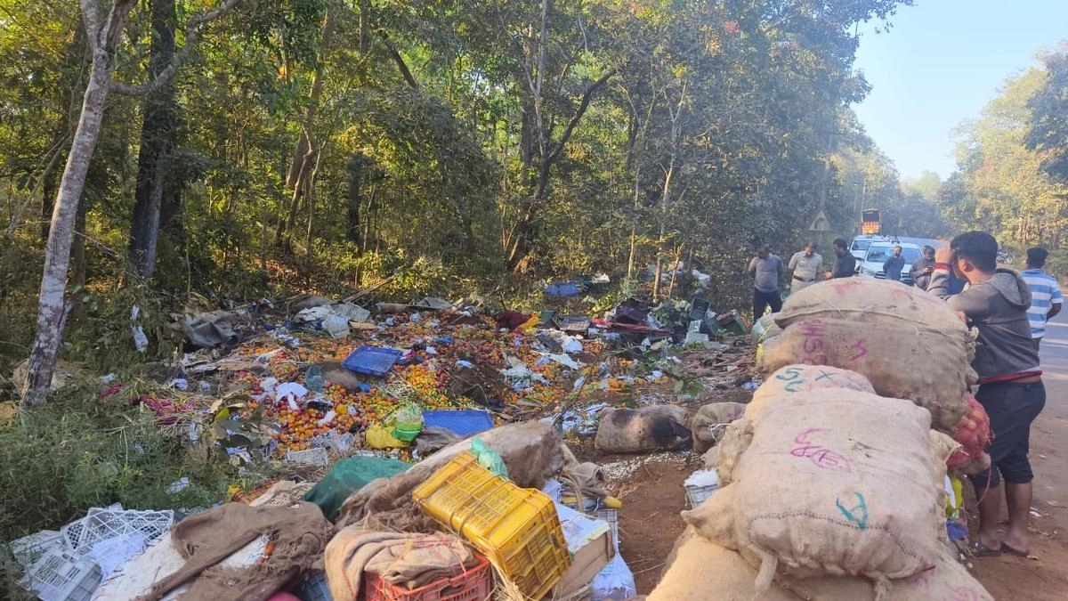 Tragic truck accident in Karnataka claims lives and injures several - News Karnataka